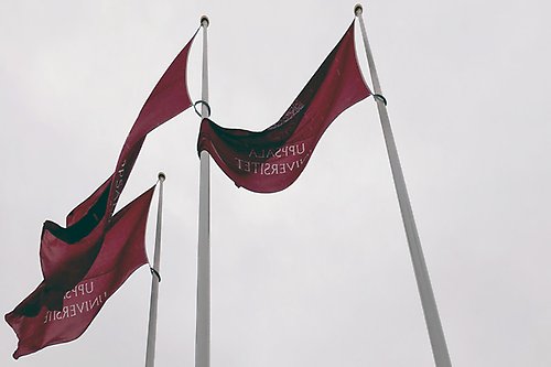 Three red Uppsala University flags