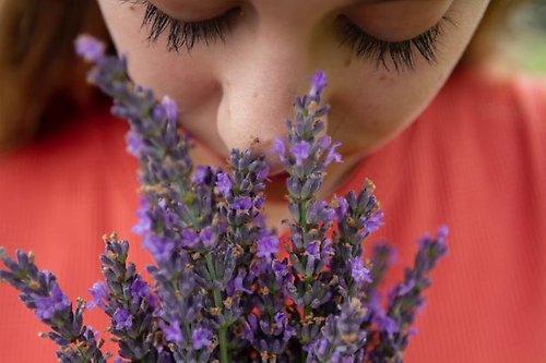 A person smelling flowers