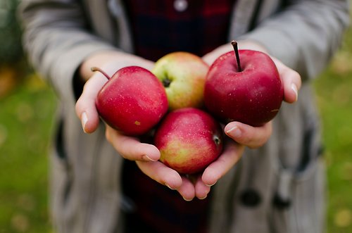 En person håller i äpplen i handflatan