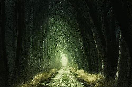 En mörk stig i skogen