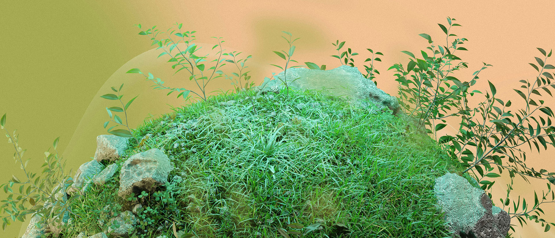 A green sphere with leaves and rocks.