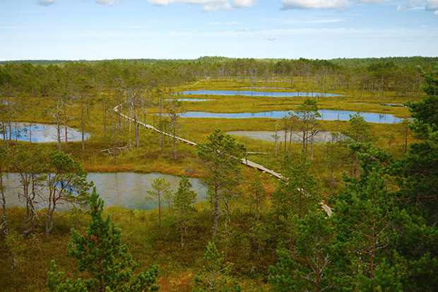 A landscape with greenery and water.