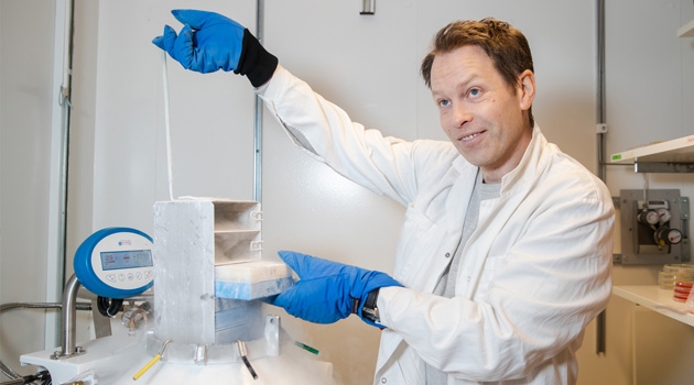 Mikael Sellin holds up the miniature organs, or organoids, used in their lab work. They are produced using stem cells and stored in liquid nitrogen.