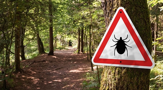 Tick warning sign in the woods. 