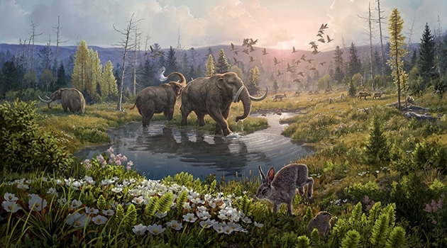  Forskarna upptäckte dna som bland annat visar att det fanns mastodonter på Grönland för två miljoner år sedan. 
