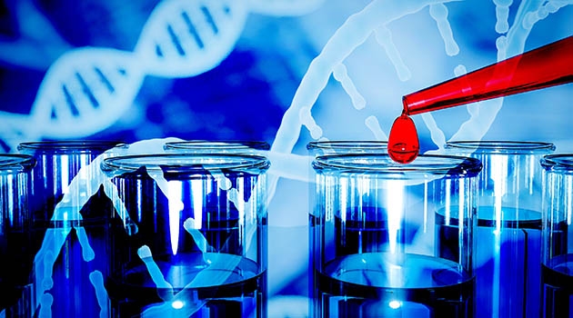 Det europeiska konsortiet Biodiversity Genomics Europe (BGE) sammanför europeisk spetskompetens inom två kritiska områden – genomsekvensering och DNA-barkodning. 