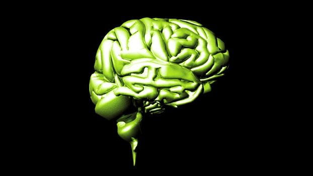 Hjärnan hos en frisk person har inte de strukturer forskarna nu hittat.