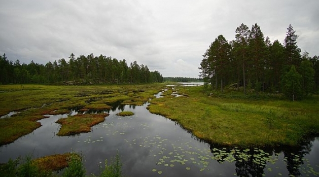 According to researchers Lars Tranvik and Anders Lindroth, greenhouse gas emissions from wetlands, lakes and watercourses are missing from Sweden's climate reporting to the UN.