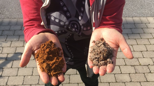 Soil from Ivantjärnheden. In the reddish, relatively poor soil (left), Archaeorhizomyces secundus thrives, while in the more humus-rich soil (right), Archaeorhizomyces victor is dominant.