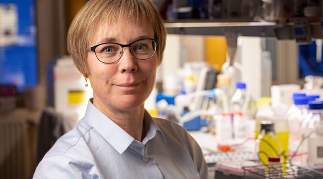 Karin Forsberg Nilsson, professor vid institutionen för immunologi, genetik och patologi, Uppsala universitet. 