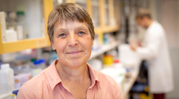 Helena Danielson, professor i biokemi, är årets mottagare av innovationspriset Hjärnäpplet.