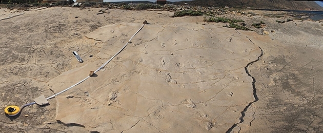 The footprints were discovered by Gerard Gierlinski (1st author of the study) by chance when he was on holiday on Crete in 2002.