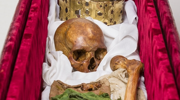 De nya undersökningarna av Erik den heliges skeletala lämningar ger stor information om hans hälsa, släktskap , konsumtion och död.