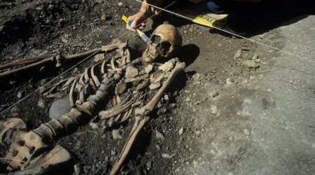 Ett av skeletten från utgrävningarna i Ajvide på Gotland.