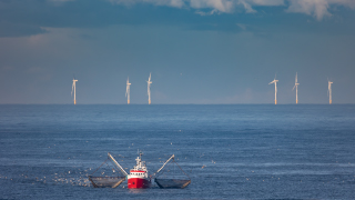 fiskebåt och vindkraftverk i hav