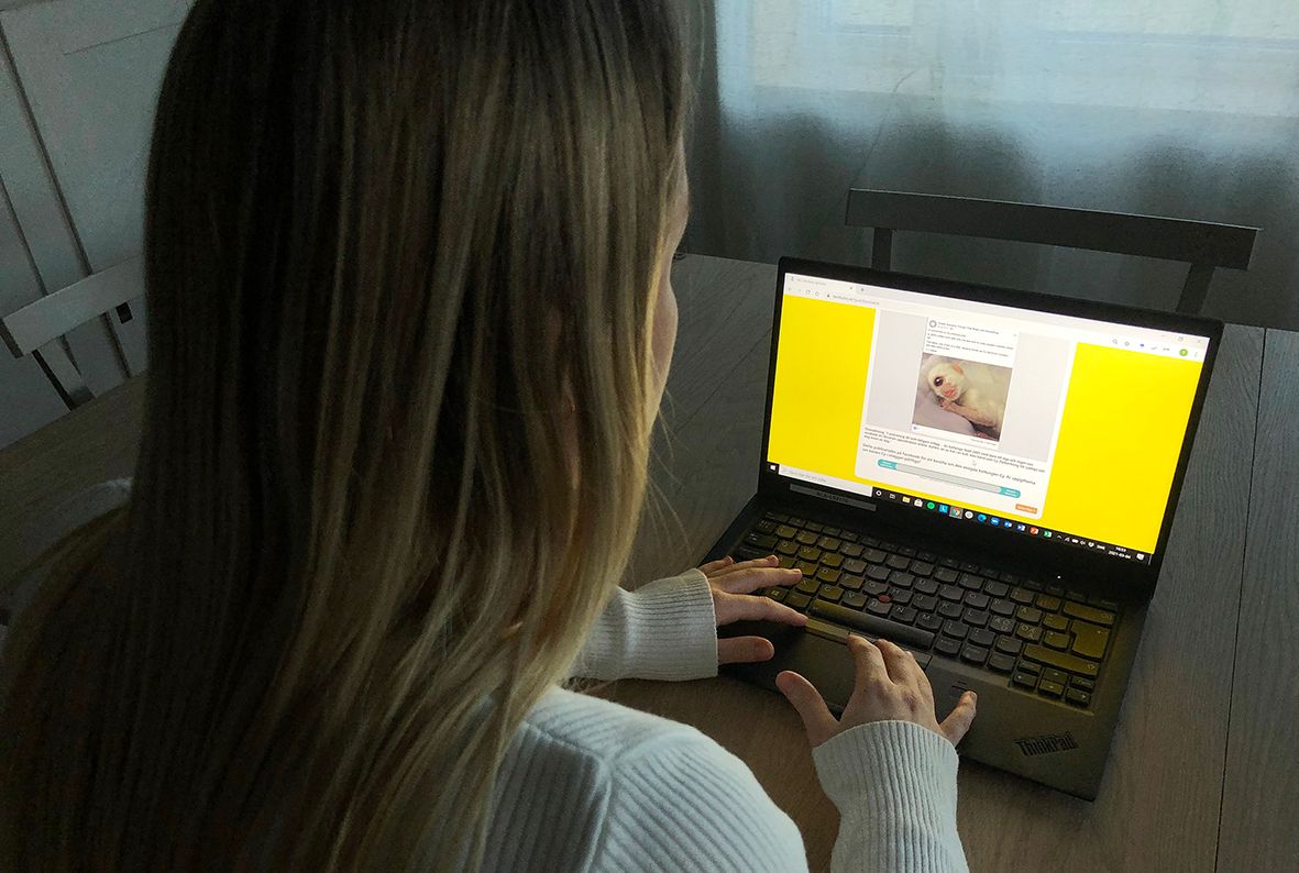When the tool was tested with just over 200 students’ help, it proved to have had a beneficial effect on their ability to assess sources critically. Credit: Thomas Nygren