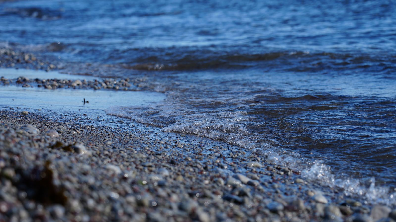 PFAS are a group of persistent chemicals that contaminate critical environments, including drinking water. Photo: Daniel Olsson / Uppsala universitet