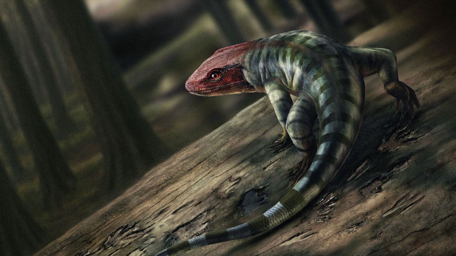 The combination of claw marks and the shape of the feet suggests that the tracks were made by a primitive reptile. The image shows a reconstruction of the reptile. Illustration: Marcin Ambrozik.