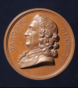Medalj över Carl von Linné