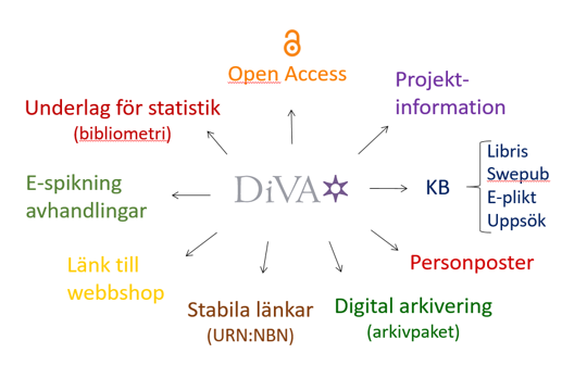 Schematisk bild över funktioner i DiVA