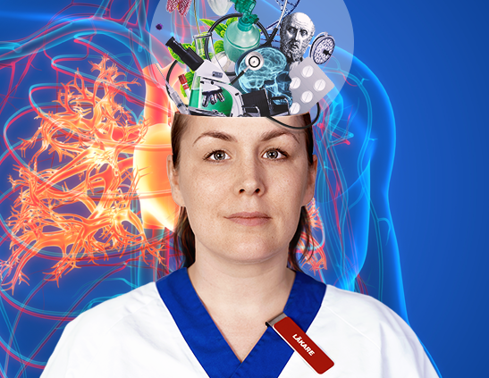 Bildkollage läkare med medicinrelaterade föremål som tycks komma upp ur huvudet.Illustrerad kropp med hjärta och blodkärl bakom.