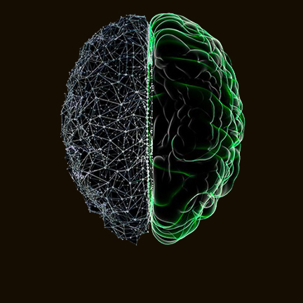 Hjärna med grön och rutig hjärnhalva.