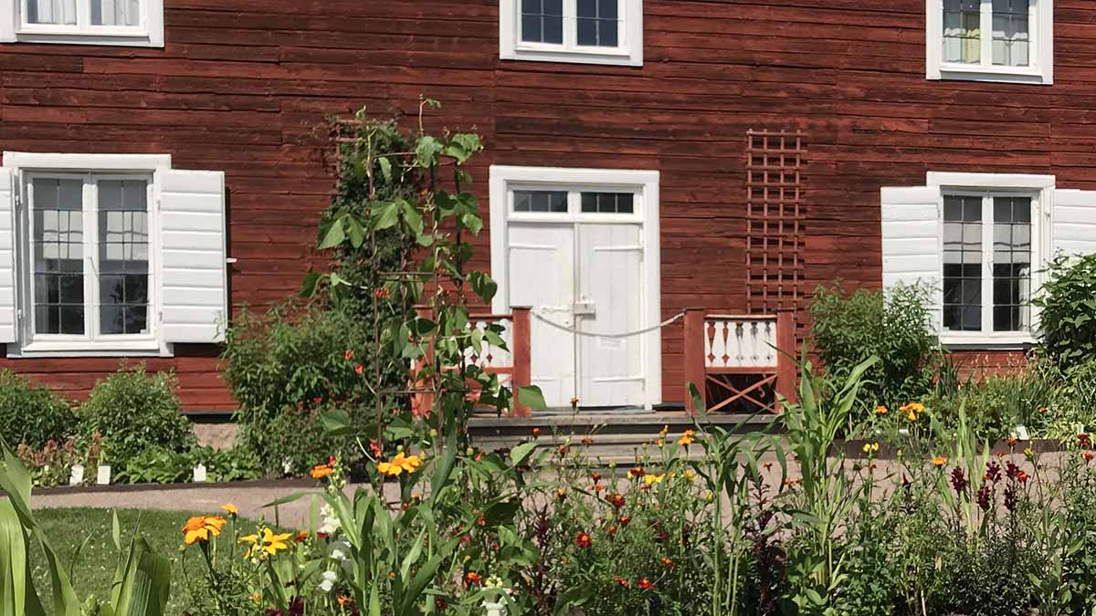 Den faluröda träfasaden på bostadshuset på Linnés Hammarby, fotograferad med sommarblommor i förgrunden.
