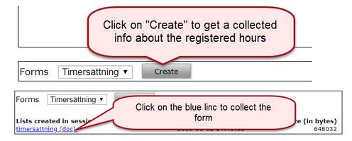 Primula web create form with collected information
