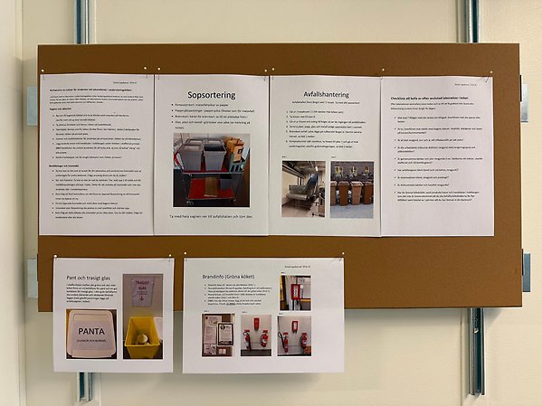 Bulletin board with kitchen routines