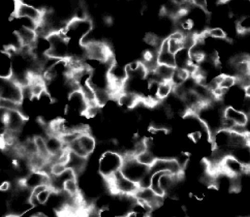 Amorphous condensate of Cooper pairs in an iron-based superconductor