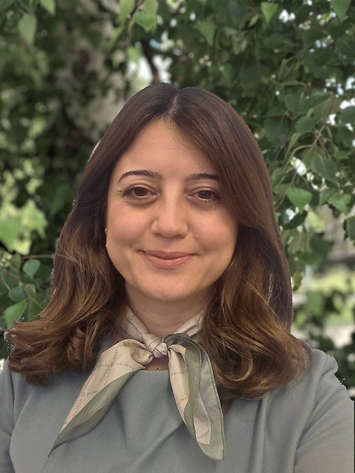 Lanja Nawzad-Sabir