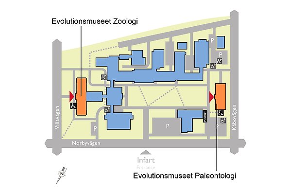 Karta över Evolutionsmuseet