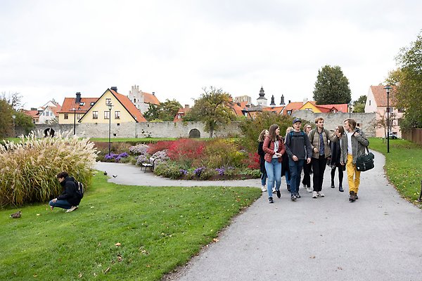 Studenter i grupp promenerar i Visby en solig dag.