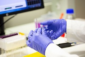 Hand with protective glove holding a sample