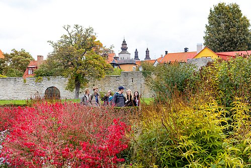 En grupp studenter promenerar i botaniska trädgården i Visby. Ringmuren i Bakgrunden.