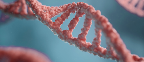 DNA