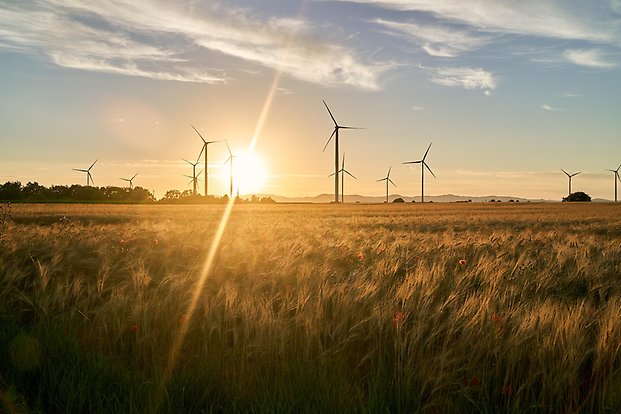 windmills