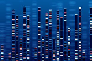 DNA-data diagram i blåa och röda färger. 