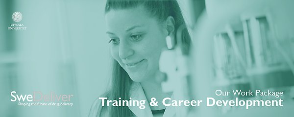 Work Package Training and Career Development