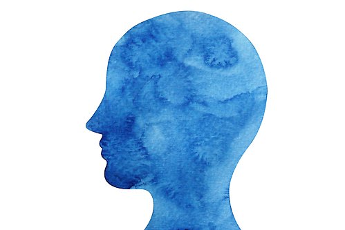 Illustration – silhuette of a head in blue.