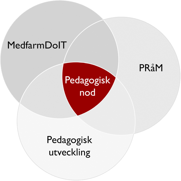 Ett venndiagram med cirklarna MedfarmDoIT, PRåM och Pedagogisk utveckling samt Pedagogisk nod i mitten.