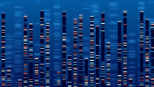 DNA-data diagram i olika blå och röda färger. 