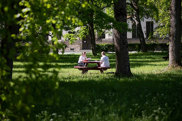 Solig dag i Carolinaparken, två personer sitter vid ett bord och läser.