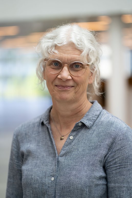 Karin Andersson Schiebe