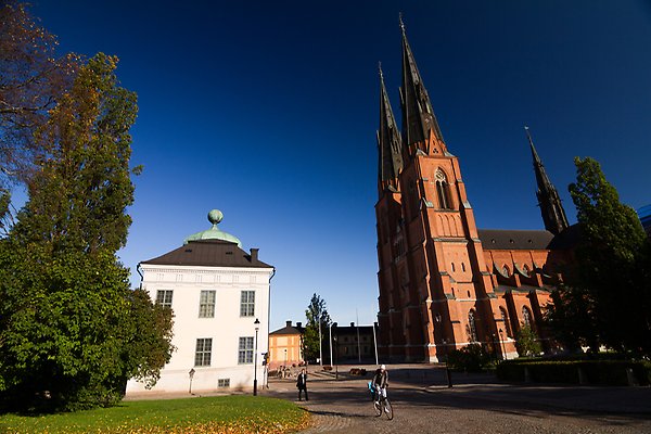 Uppsala Cathedral and Gustavianum