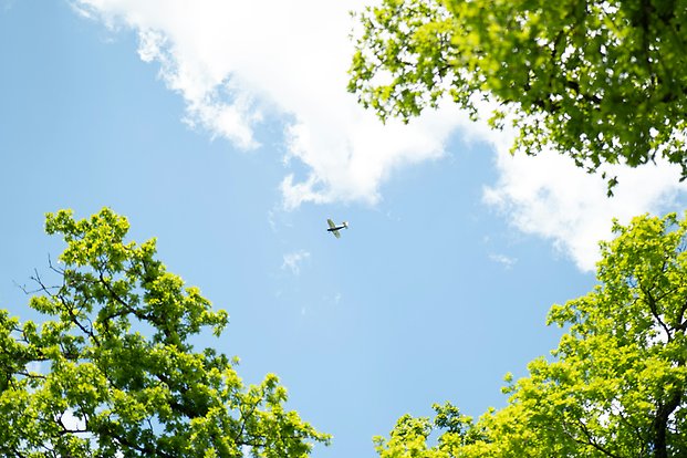 Flygplan flyger över träd
