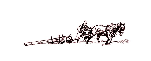 A man transports timber with a horse and a sleigh