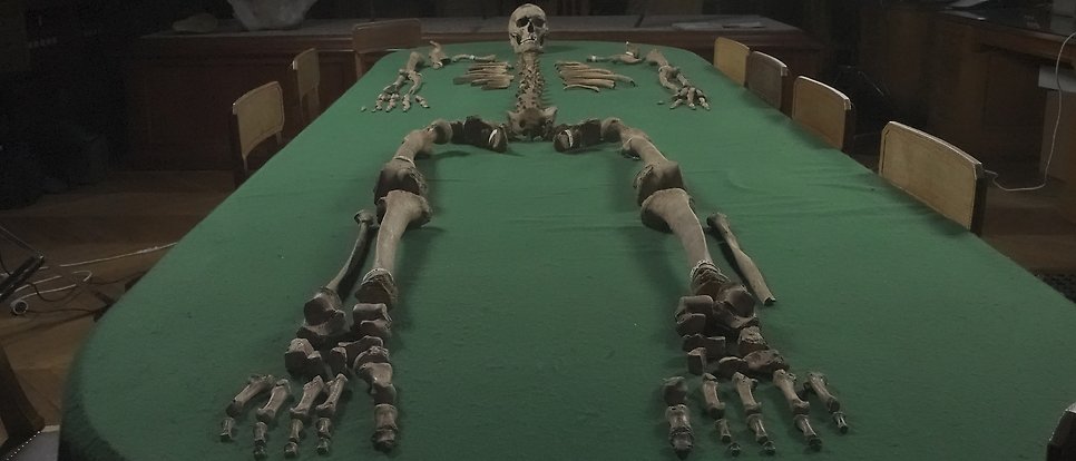 Skeleton on a table.