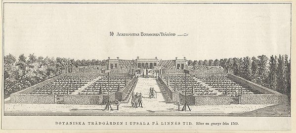 An illustration of what the current Linnaeus Garden looked like in Linnaeus' time. The garden was surrounded by trees instead of houses.