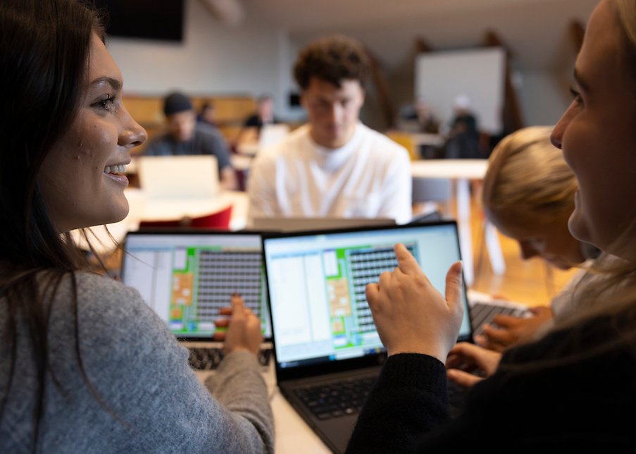 Programvara och digitala verktyg